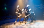 Circus Sijm 3