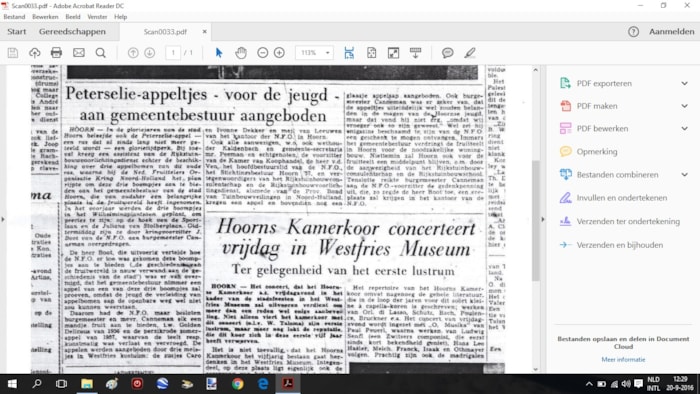 Peterselie appeltjes