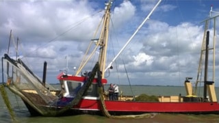 Waterplanten maaien