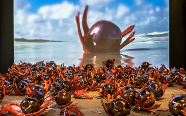 Nootmuskaat en foelie liggend.PERS Foto Westfries Museum-Benno Ellerbroek