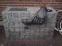 Steun_door_Truus_Menger-Oversteegen