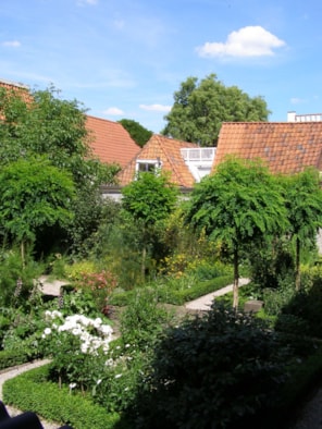 Foreestenhuis3
