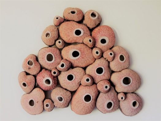 1.cellae, elzenhout 75 x 75 x 20