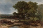 24 PB De heide bij Wolfheze - Johannes Warnardus Bilders, 1811 - 1890