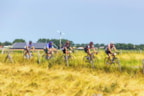 Ronde van de Westfriese Omringdijk 2