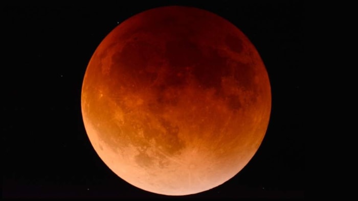 Bloedmaan