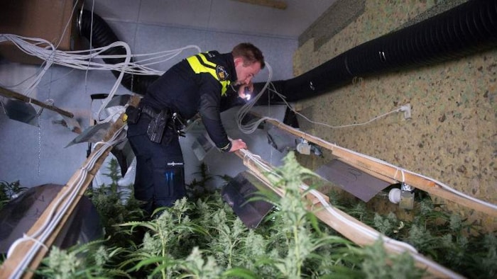 Politie vindt hennepkwekerij