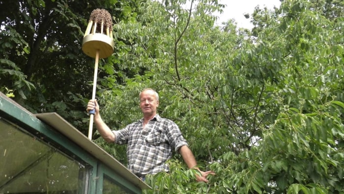 Henk met zwermboor