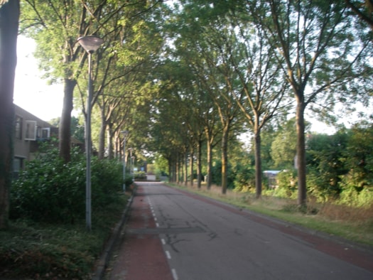 situatiefoto 1, straatzicht vanaf Ossenweide 1, Zwaag