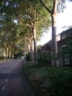 situatiefoto 2, straatzicht vanaf de andere kant van de Ossenweide, Zwaag
