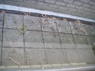 situatiefoto 4, mijn balkon met de oogst aan takken na 1 jaar niet  te hebben opgeruimd, Ossenweide, Zwaag