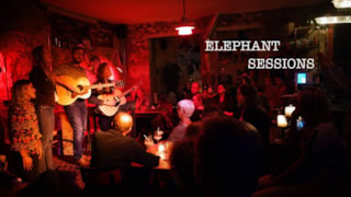 Elephant Sessions