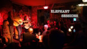 Elephant Sessions