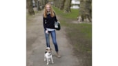 Collecte dierenbescherming