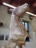 Boterhal biennale