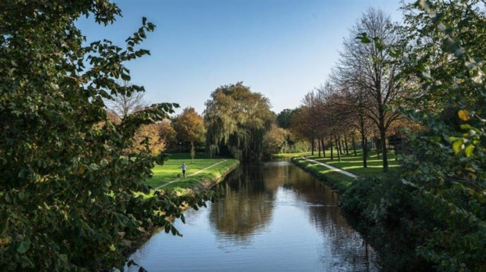 Groen in de stad