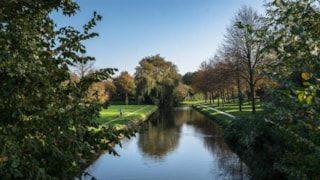Groen in de stad