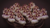Hoya