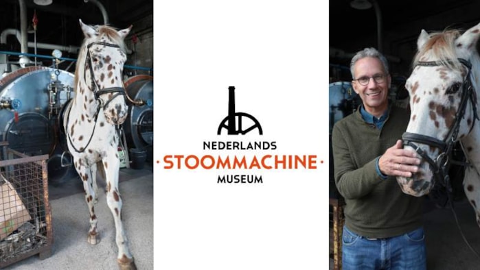 Nederlands Stoommachine Museum - Directeur Harry de Bles met Paard