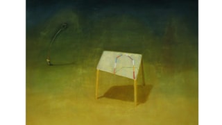 de ploegh_maarten van der laag