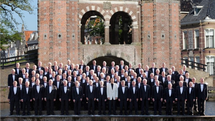 Edoza 2014