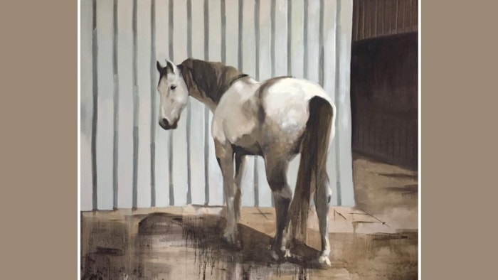 Philine van der Vegte, wit paard