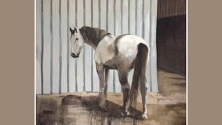 Philine van der Vegte, wit paard