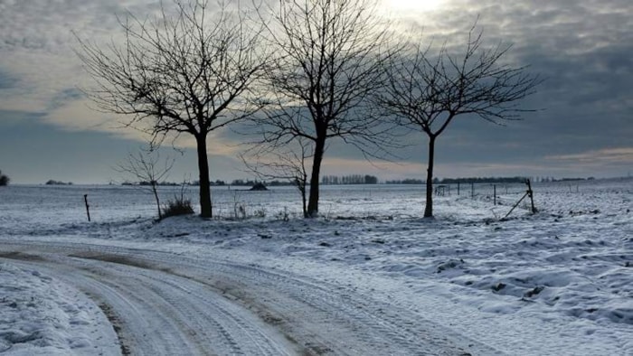 Westfriesland in wintertooi