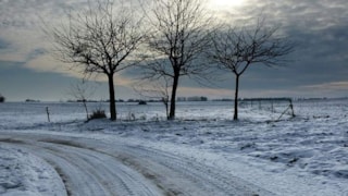 Westfriesland in wintertooi