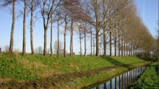 Voorjaar