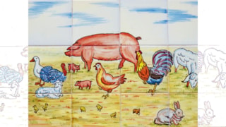 natuurspreuken-tegel