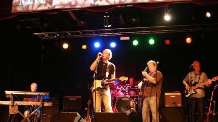 Neil Young Cover Band