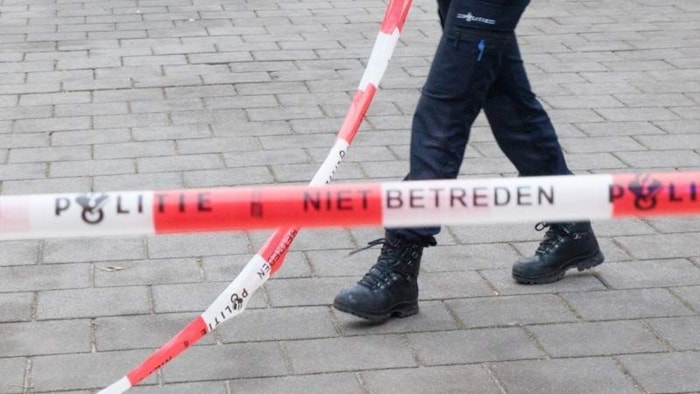 Politielint