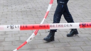 Politielint