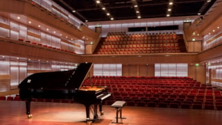 Muziekgebouw Grote Zaal vleugel (Martina Simkovicova)
