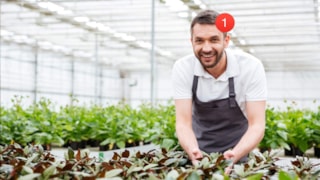NL leert door3