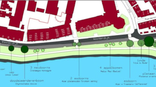 Bomenplan Westerdijk