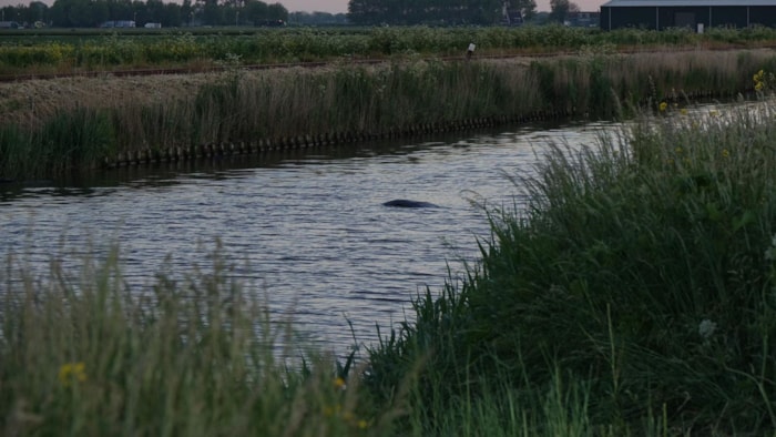 Automobilist te water in Midwoud6