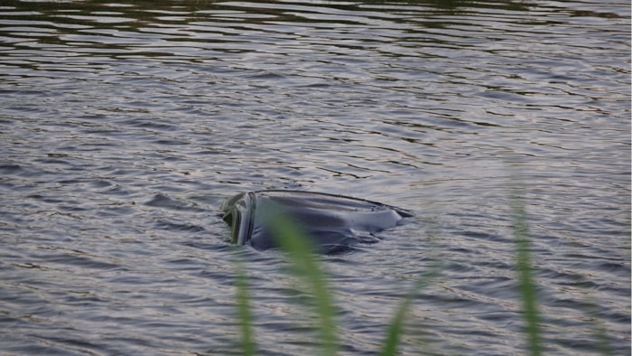 Automobilist te water in Midwoud
