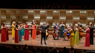 Ars Musica Orkest