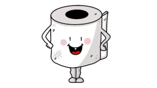 Gemeenteraad kiest openbaar toilet