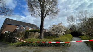 Drie woningen uit voorzorg ontruimd ivm instabiele boom in Zwaag