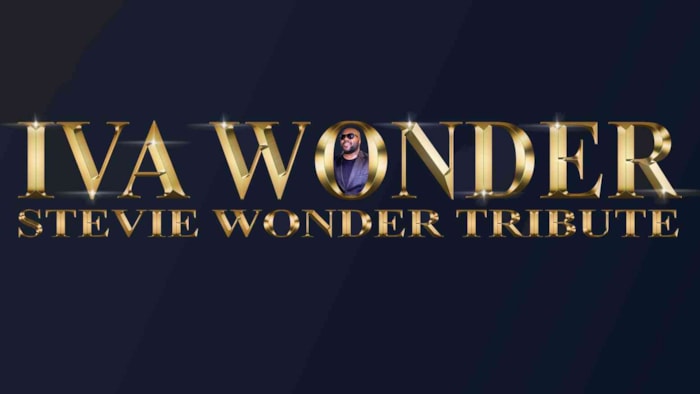 Stevie Wonder Tribute