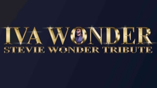 Stevie Wonder Tribute