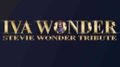 Stevie Wonder Tribute
