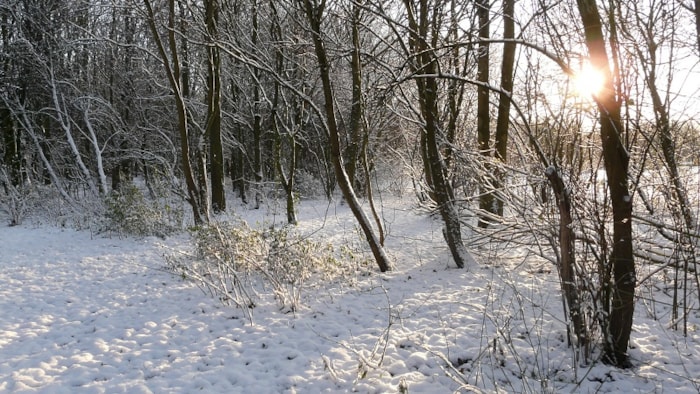 20221218 IVN wandeling
