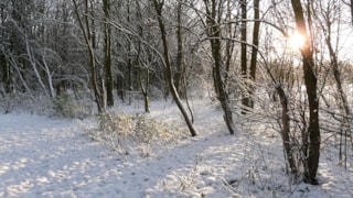 20221218 IVN wandeling