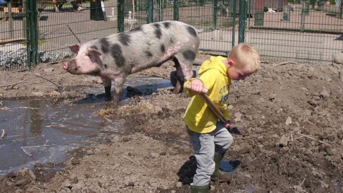 Helpen op de boerderij2-MAK Blokweer
