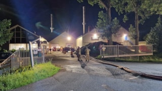 Grasbrand in Lambertschaag3