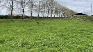 Leekerpad - Stijgbeugel stukje groen